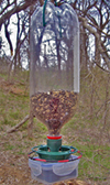 RFID birdfeeder