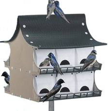 A typical martin house. From purplemartin.org
